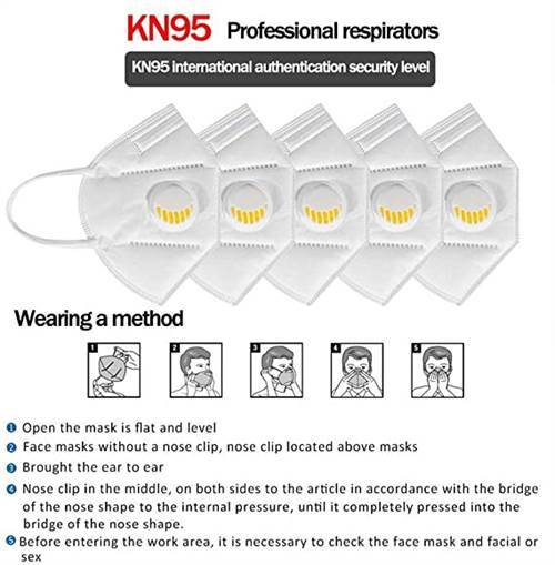 SAFETYNET Anti Pollution, Reusable, Non-Woven with Melt Blown Protective Layer Valve Face Mask With Respirator